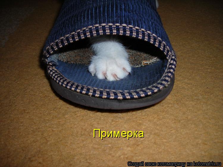 Котоматрица: Примерка