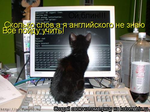 Котоматрица: Ой,блин!!!  Сколько слов,а я английского не знаю Всё пойду учить!