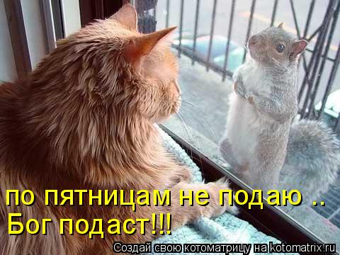по пятницам не подаю .. Бог подаст!!!... Котоматрица: по пятницам не подаю .. Бог подаст!!!