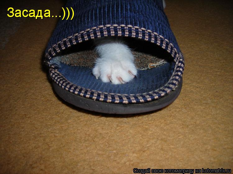 Котоматрица: Засада...)))
