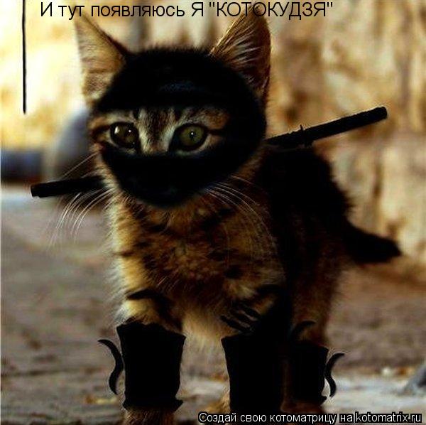 И тут появляюсь Я "КОТОКУДЗЯ"... Котоматрица: И тут появляюсь Я "КОТОКУДЗЯ"