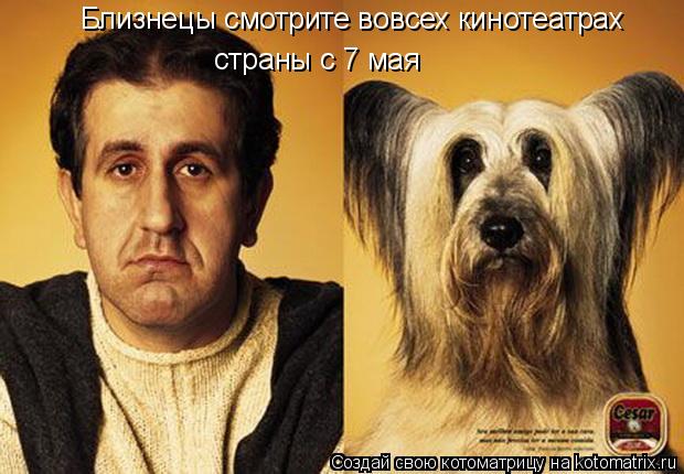 Близнецы смотрите вовсех кинотеатрах страны с 7 мая... Котоматрица: Близнецы смотрите вовсех кинотеатрах страны с 7 мая