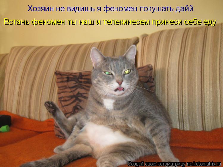 Хозяин не видишь я феномен покушать дайй Встань феномен ты наш и телекинесем принеси себе еду Встань ... Котоматрица: Хозяин не видишь я феномен покушать дайй Встань феномен ты наш и телекинесем принеси себе еду Встань феномен ты наш и телекинесем принеси с