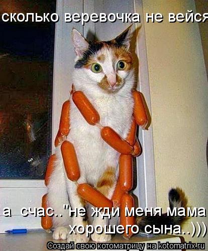 сколько веревочка не вейся а счас.."не жди меня мама.. хорошего сына..)))... Котоматрица: сколько веревочка не вейся а счас.."не жди меня мама.. хорошего сына..)))