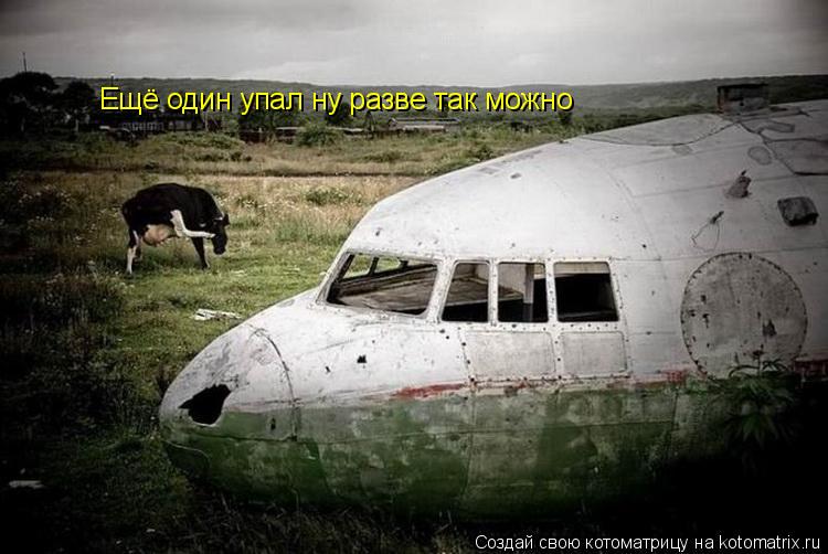 Ещё один упал ну разве так можно... Котоматрица: Ещё один упал ну разве так можно