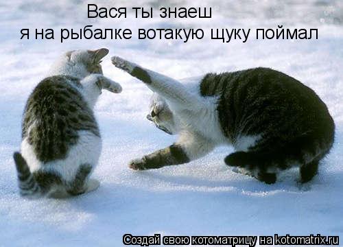 Вася ты знаеш я на рыбалке вотакую щуку поймал... Котоматрица: Вася ты знаеш я на рыбалке вотакую щуку поймал