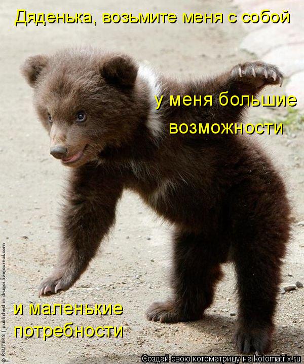 Котоматрица: Дяденька, возьмите меня с собой у меня большие возможности и маленькие  потребности