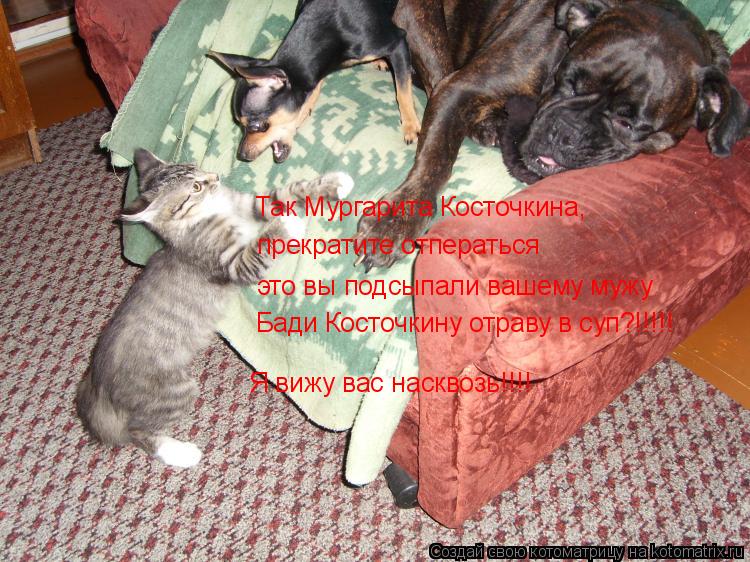 Котоматрица: Так Мургарита Косточкина, прекратите отператься это вы подсыпали вашему мужу Бади Косточкину отраву в суп?!!!!! Я вижу вас насквозь!!!!
