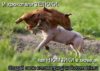Котоматрица: И хрюкотали ЗЕЛЮКИ, как НЮМЗИКИ в мове...