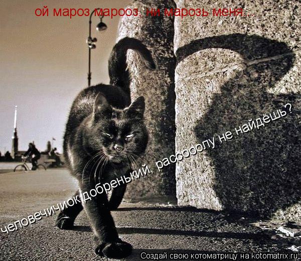 Котоматрица: ой мароз марооз, ни марозь меня... человечичиок добренький, рассооолу не найдёшь?