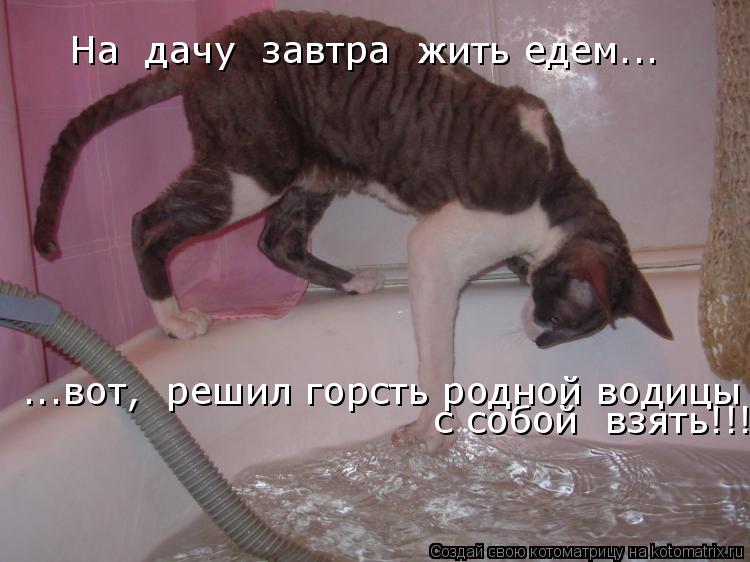 На дачу завтра жить едем... ...вот, решил горсть родной водицы с собой взять!!!... Котоматрица: На дачу завтра жить едем... ...вот, решил горсть родной водицы с собой взять!!!