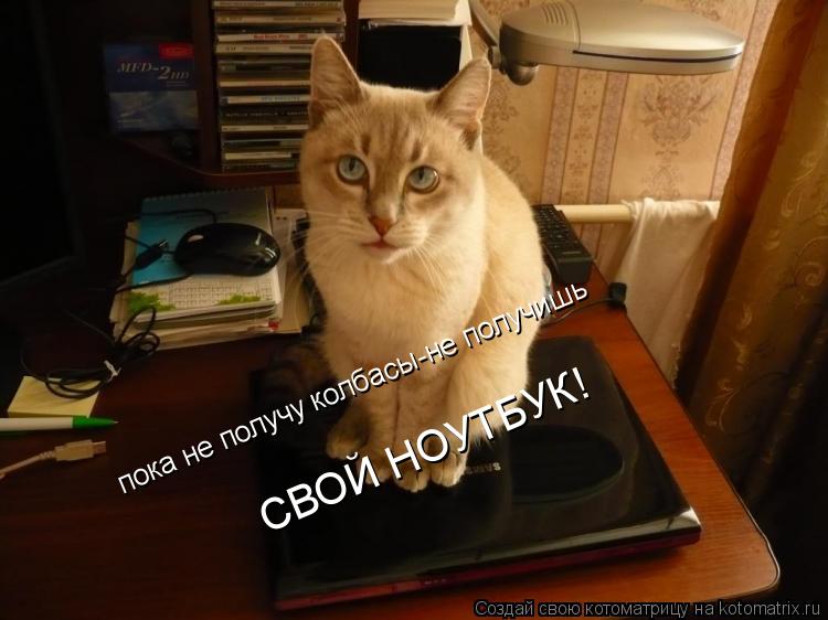 Котоматрица: пока не получу колбасы-не получишь СВОЙ НОУТБУК!