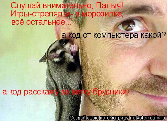 Котоматрица: Слушай внимательно, Палыч! Игры-стрелялки- в морозилке, всё остальное... а код от компьютера какой? а код расскажу за ветку брусники!