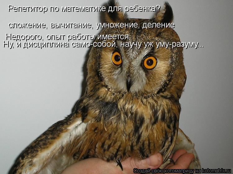Котоматрица: Репетитор по математике для ребенка? сложение, вычитание, умножение, деление Недорого, опыт работы имеется Ну, и дисциплина само-собой, науч