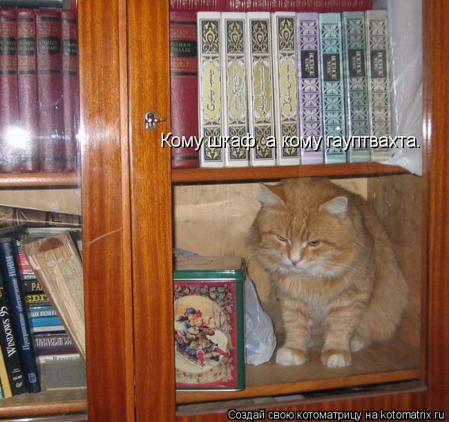 Котоматрица: Кому шкаф, а кому гауптвахта.