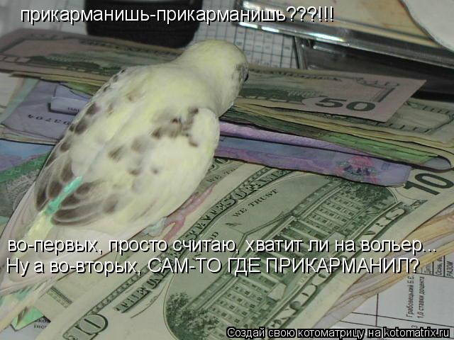 Котоматрица: прикарманишь-прикарманишь???!!! во-первых, просто считаю, хватит ли на вольер... Ну а во-вторых, САМ-ТО ГДЕ ПРИКАРМАНИЛ?