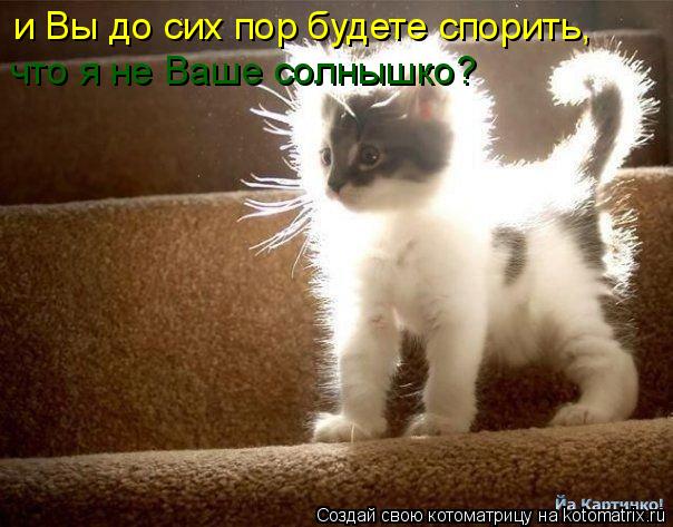 Котоматрица: и Вы до сих пор будете спорить,  что я не Ваше солнышко?