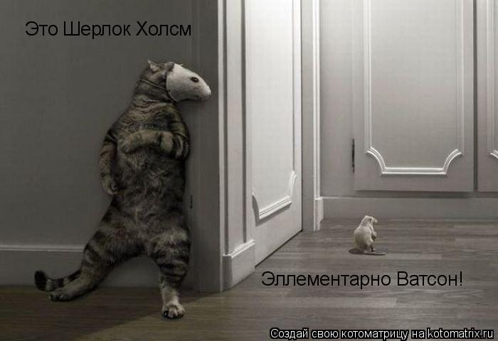 Котоматрица: Это Шерлок Холсм  Эллементарно Ватсон!