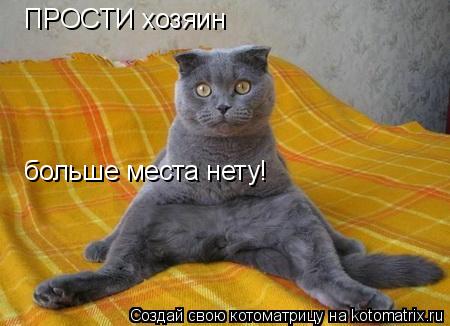Котоматрица: ПРОСТИ хозяин  больше места нету!