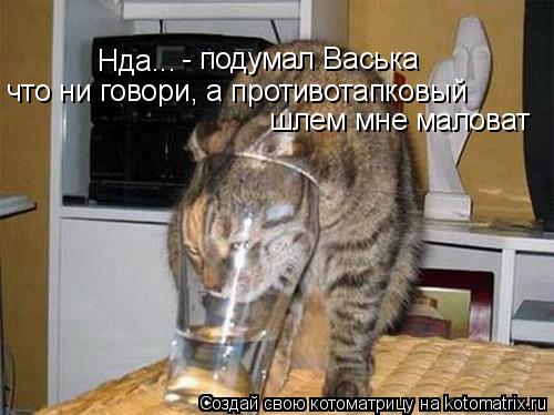 Котоматрица: Нда... - подумал Васька что ни говори, а противотапковый  шлем мне маловат