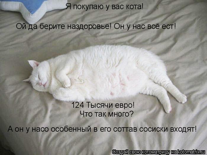 Котоматрица: Я покупаю у вас кота! Ой да берите наздоровье! Он у нас всё ест!  124 Тысячи евро! Что так много? А он у насо особенный в его соттав сосиски входя