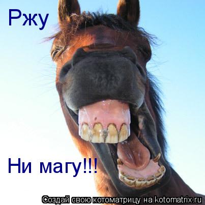Котоматрица: Ржу Ни магу!!!
