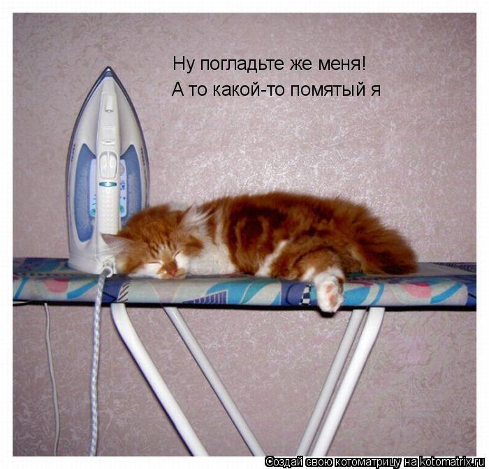 Котоматрица: Ну погладьте же меня! А то какой-то помятый я