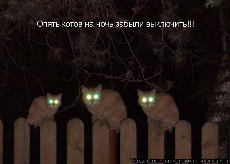 Котоматрица: Опять котов на ночь забыли выключить!!!