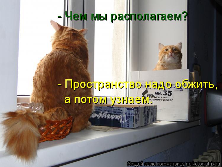 Котоматрица: - Чем мы располагаем? - Пространство надо обжить,  а потом узнаем.