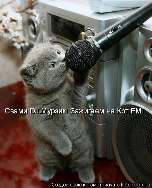 Котоматрица: Свами DJ Мурзик! Зажигаем на Кот FM!