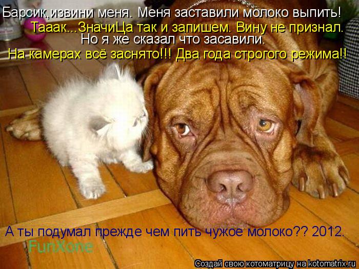 Котоматрица: Барсик,извини меня. Меня заставили молоко выпить! Тааак...ЗначиЦа так и запишем. Вину не признал. Но я же сказал что засавили. На камерах всё з