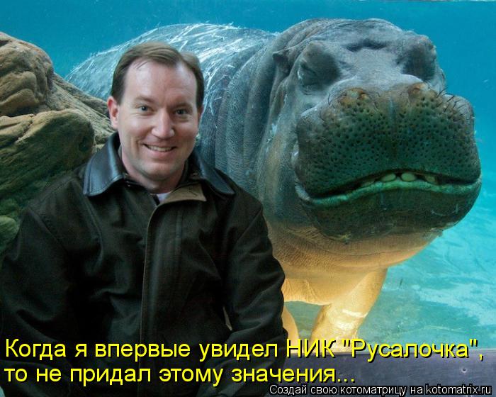 Котоматрица: Когда я впервые увидел НИК "Русалочка", то не придал этому значения...
