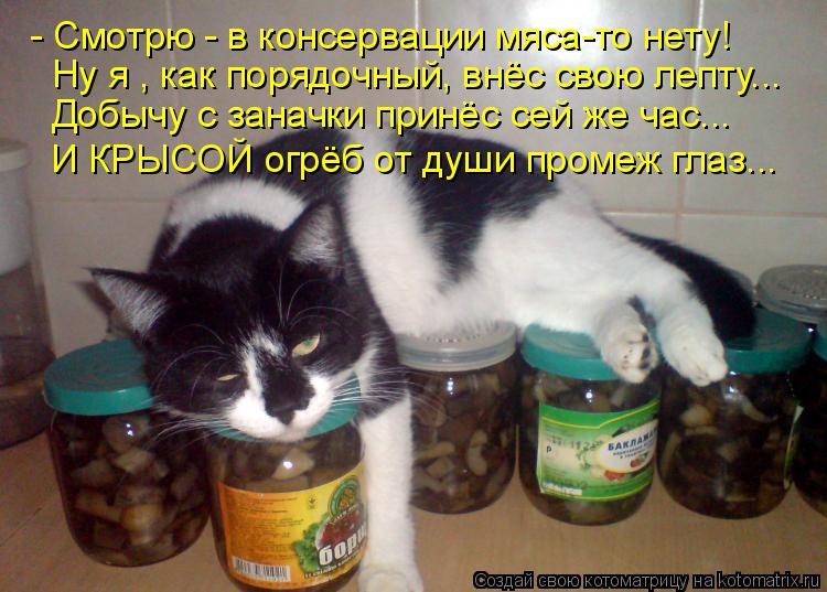 - Смотрю - в консервации мяса-то нету! Ну я , как порядочный, внёс свою лепту... Добычу с заначки при... Котоматрица: - Смотрю - в консервации мяса-то нету! Ну я , как порядочный, внёс свою лепту... Добычу с заначки принёс сей же час... И КРЫСОЙ огрёб от души проме