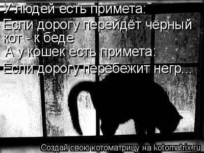 Котоматрица: У людей есть примета: Если дорогу перейдёт чёрный кот - к беде А у кошек есть примета: Если дорогу перебежит негр...