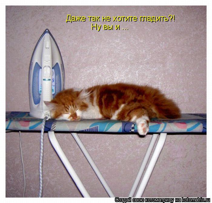 Котоматрица: Даже так не хотите гладить?! Ну вы и ...