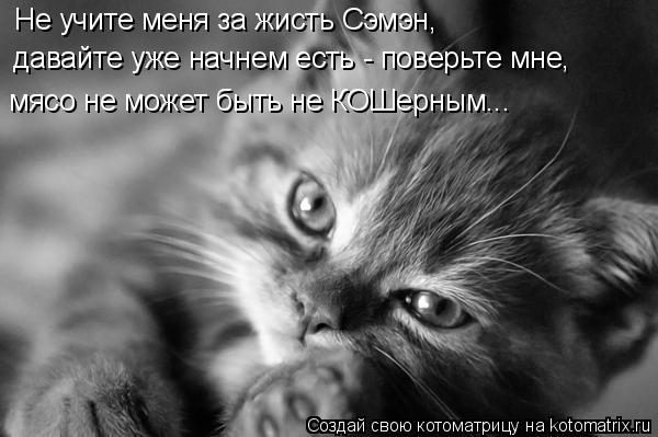 Котоматрица: Не учите меня за жисть Сэмэн, давайте уже начнем есть - поверьте мне, мясо не может быть не КОШерным...