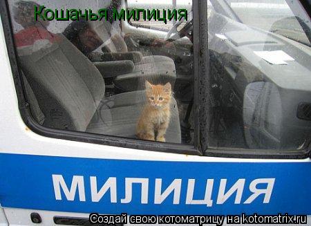 Котоматрица: Кошачья милиция