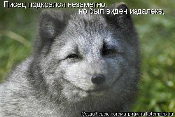 Котоматрица: Писец подкрался незаметно,  но был виден издалека,