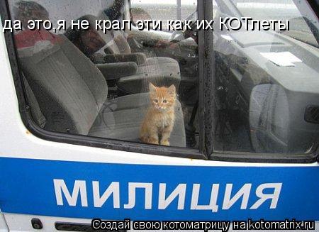 Котоматрица: да это,я не крал эти как их КОТлеты
