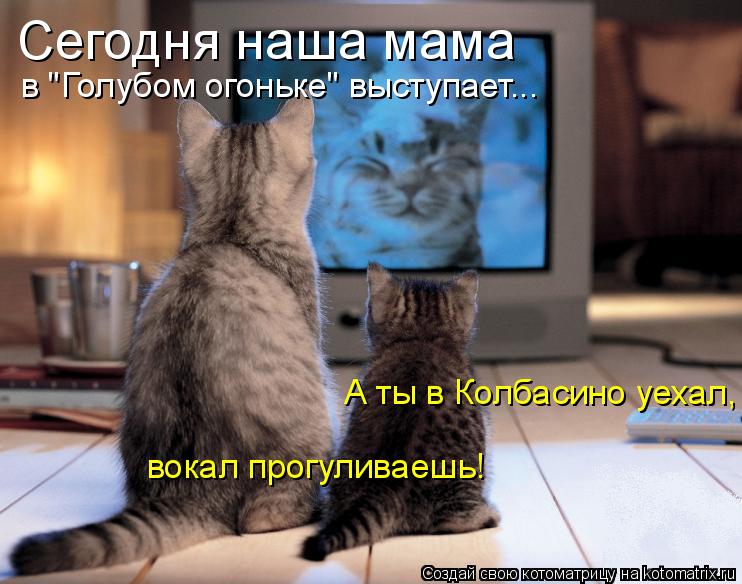 Котоматрица: Сегодня наша мама в "Голубом огоньке" выступает... А ты в Колбасино уехал, вокал прогуливаешь!