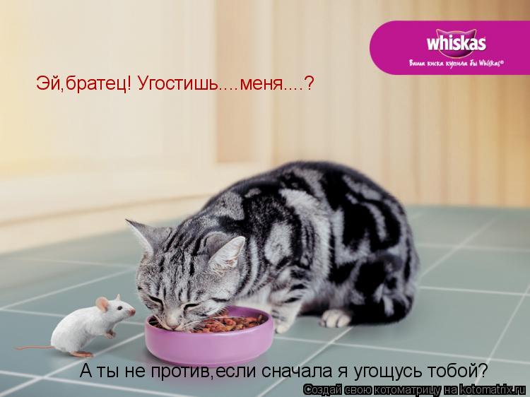 Котоматрица: Эй,братец! Угостишь....меня....? А ты не против,если сначала я угощусь тобой?
