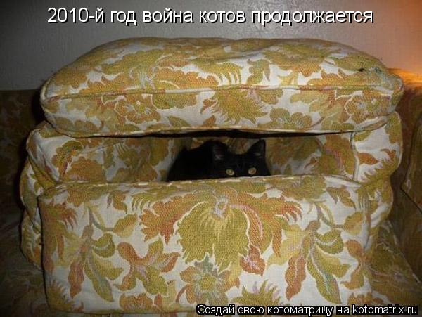 Котоматрица: 2010-й год война котов продолжается