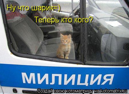 Котоматрица: Ну что шарик=) Теперь кто кого?