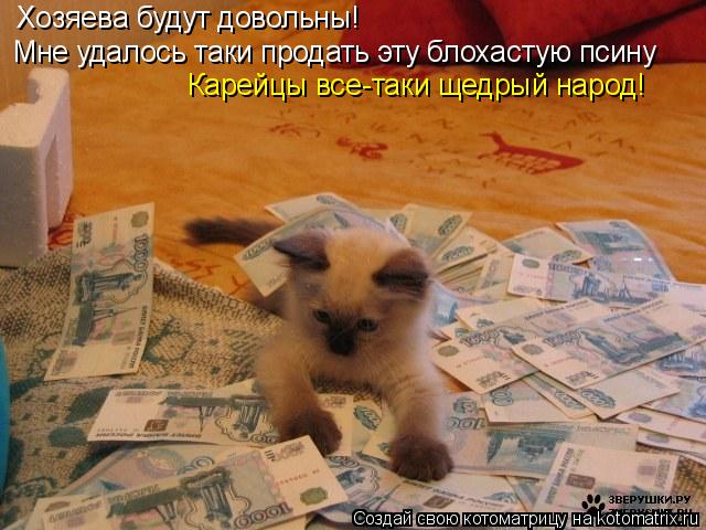 Котоматрица: Хозяева будут довольны!  Мне удалось таки продать эту блохастую псину Карейцы все-таки щедрый народ!