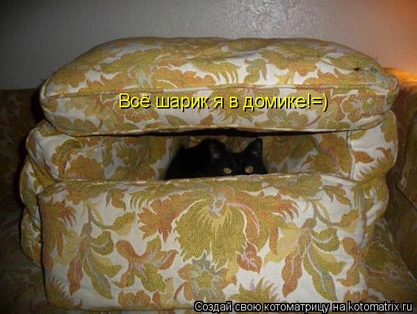 Котоматрица: Всё шарик я в домике!=)