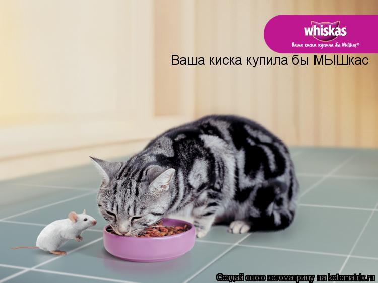 Котоматрица: Ваша киска купила бы МЫШкас