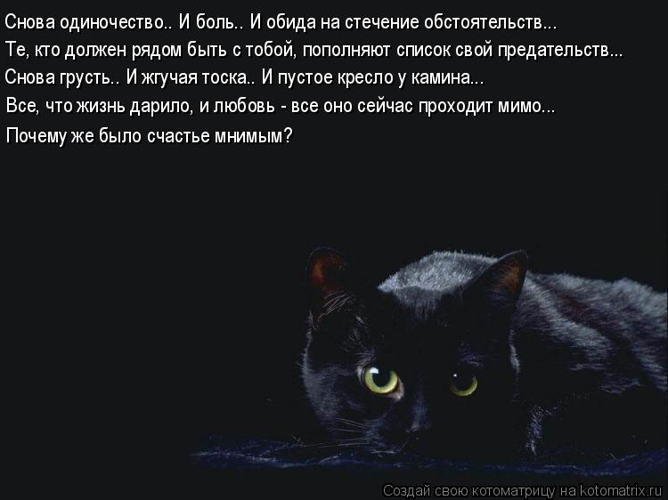 Котоматрица: Те, кто должен рядом быть с тобой, пополняют список свой предательств... Снова одиночество.. И боль.. И обида на стечение обстоятельств... Снов