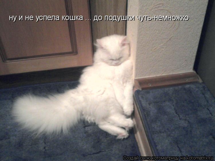 Котоматрица: ну и не успела кошка ... до подушки чуть-немножко
