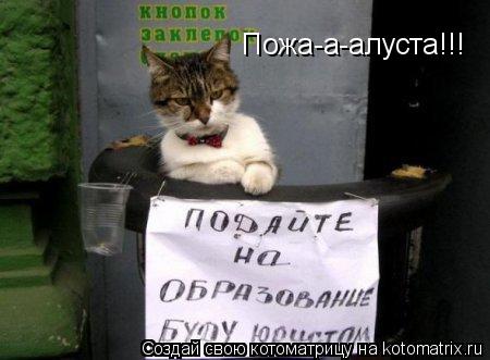 Котоматрица: Пожааа\ Пожа-а-алуста!!!
