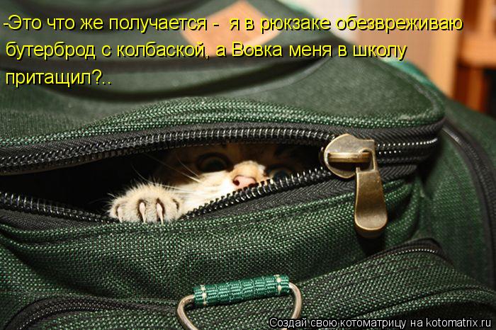 Котоматрица: -Это что же получается -  я в рюкзаке обезвреживаю бутерброд с колбаской, а Вовка меня в школу  притащил?..